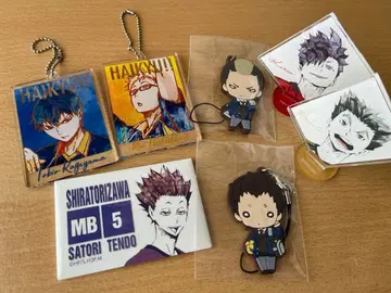 [하이큐 최애 필견] 아크릴 키링 스탠드 세트