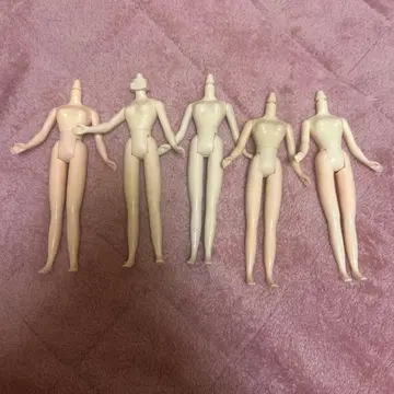 브라이스 인형 디폴트 바디 묶음 판매