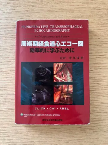 수술 중 식도 심장 초음파