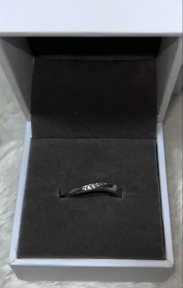 페스타리아 반지 SV980