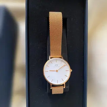 Daniel Wellington 골드 메쉬 손목시계
