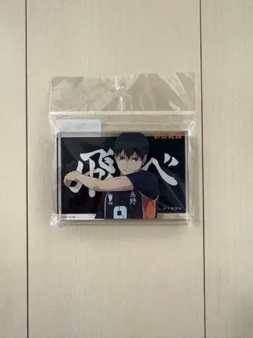 하이큐 베이스 야드 도쿄 카게야마 토비오 아크릴 블록