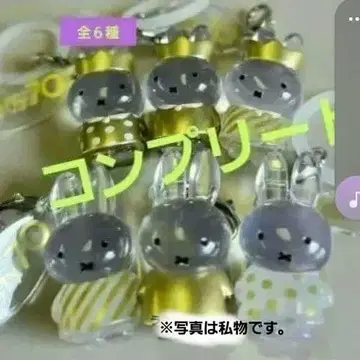 미피 70주년 기념일 메지루시 액세서리 컴플리트