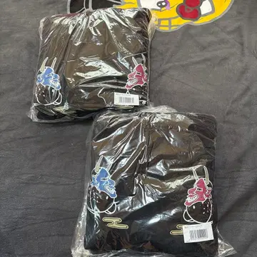 레페젠 지구 후이 후드티