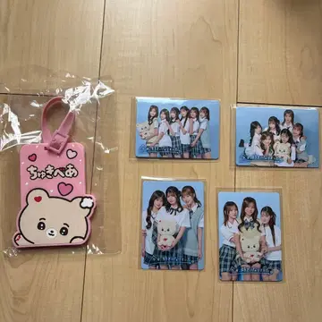 오늘 좋아 미이구리 트레이딩 카드 4종 토츠키베어 세트