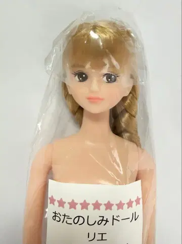 즐거운 인형 리카짱 캐슬 제니 프렌드 리에