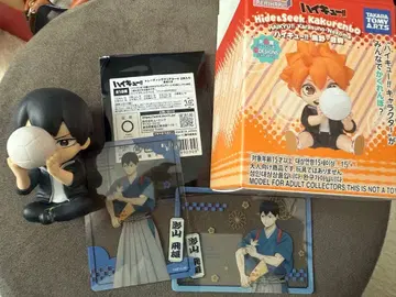 하이큐 숨바꼭질 트레이딩 클리어 카드 신춘의 정점 카게야마 토비오