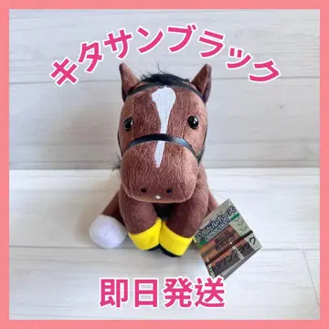 [ 익명 배송 ] 키타산 블랙 아이돌 호스 M 사이즈 아리마 기념