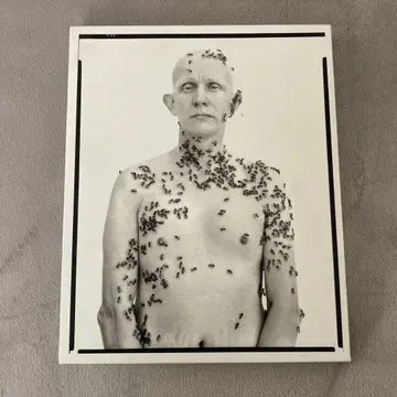 리처드 아베돈 포트레이트집