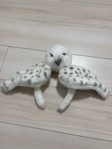 올빼미 디자인 머리띠 유니버셜 USJ 헤드윅