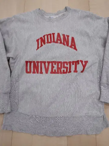 챔피온 리버스 위브 80s