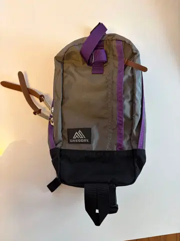 GREGORY 그레이/퍼플 백팩