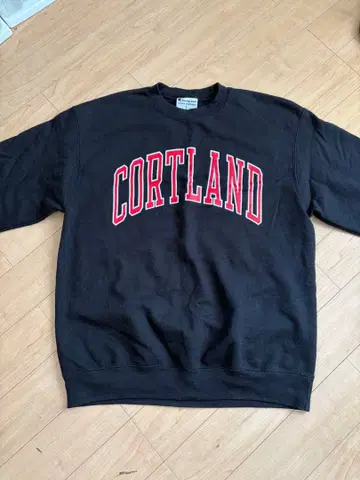 Champion CORTLAND 맨투맨