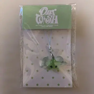 NCTWISH 위시 키링