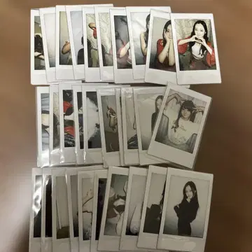 카미나기 래빗츠 이레이츠키 정리