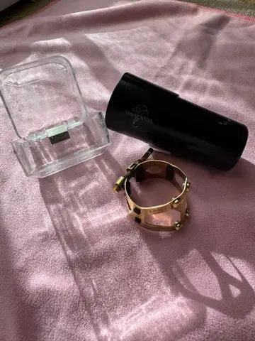 야나기사와 야니식스 알토 색소폰