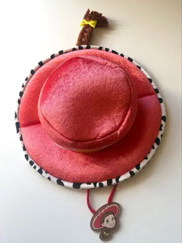 디즈니 제시 팬캡