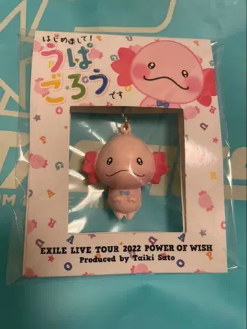 사토 타이주 우파고로 키링