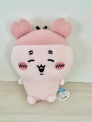 치이카와 (먼작귀) 시이푸와 봉제 인형 헌책방 (카니짱)