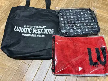 LUNATIC FEST 2025 VIP 시트 혜택 굿즈