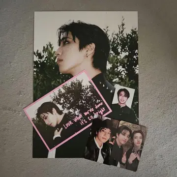 Stray Kids 스키즈 DO IT 한 세트