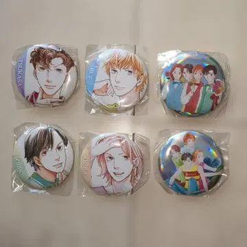 꽃보다 남자 캔뱃지 컴플리트 6종 세트 (캡슐 포함) 미개봉 새상품