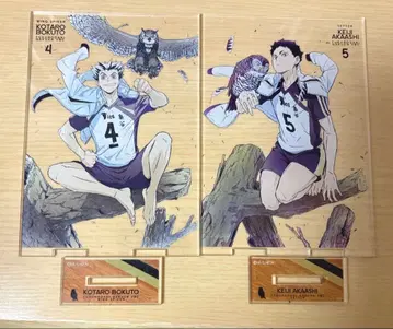 하이큐 아크릴 스탠드