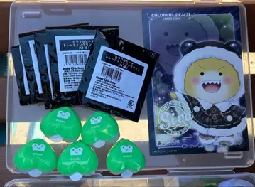 시바 씨 링 라이트 5개 세트 엽서 토부 동물공원 컬러풀 피치