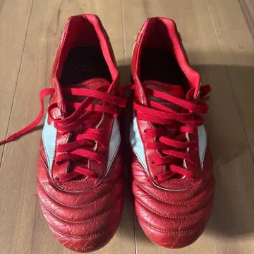 미즈노 모렐리아 2