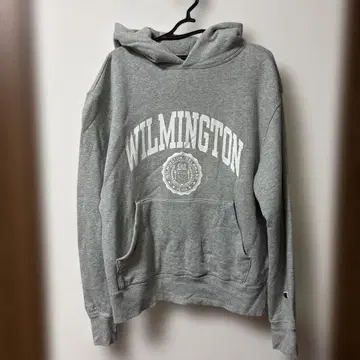 niko and - x champion 콜라보 속기모 로고 후드티 L