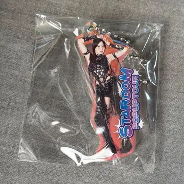 카미타니 사야 STARDOM 타워 레코드 오로라 트윈 아크릴 키링