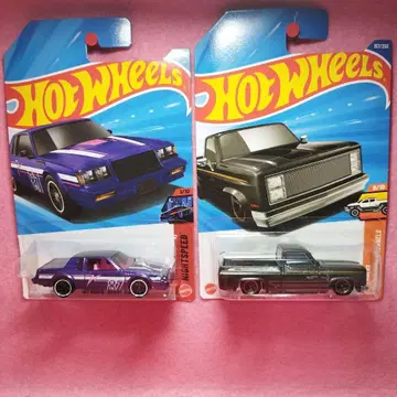 핫휠 트레져헌트 뷰익 리갈 쉐비 실버라도