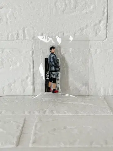 신일본 프로레슬링 WRESTLE KINGDOM 20 복권 YOH