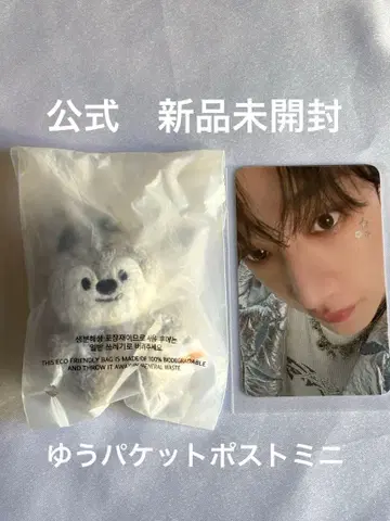 방찬 마이크로 키링 stray kids 스키즈 울프찬 skzoo