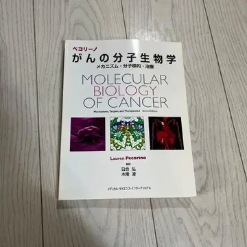 페코리노암의 분자생물학 메커니즘 분자표적 치료