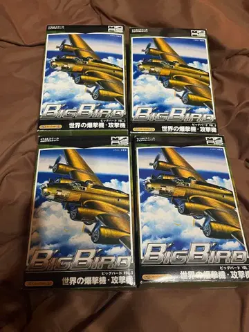 빅버드 vol.3 4종류 시크릿 있음 1/144