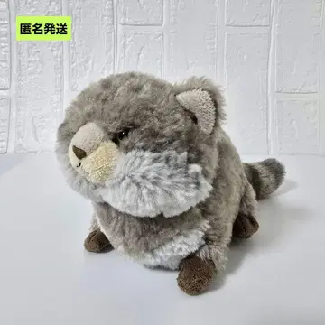 [익명] 플러피즈 마눌 고양이 산레몬 봉제 인형