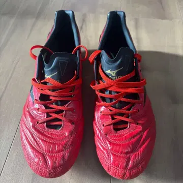 미즈노 모나르시다