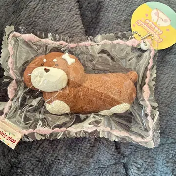 스퀴즈 닥스훈트 개