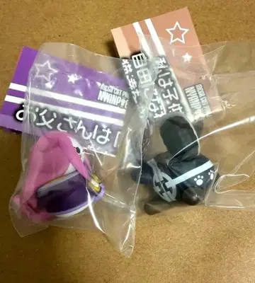 냥피스 보니 곰