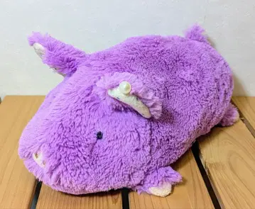 밤비나 돈사마 봉제 인형 퍼플 bambina