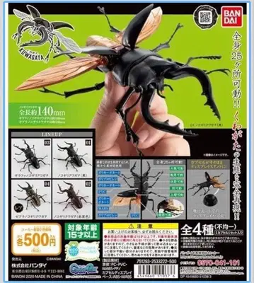 생물대도감 장수풍뎅이 01 컴프 4종류