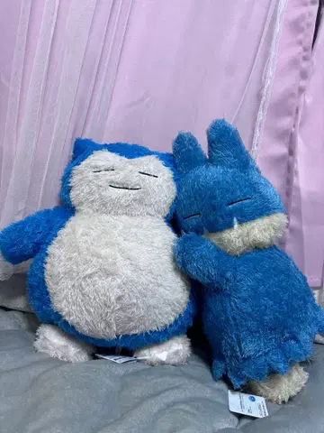 [택 포함] 카비곤 곤베 메챠모후굿토 쿠츠로기 타임 봉제 인형 포켓몬
