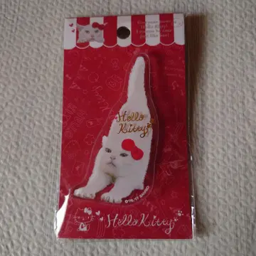 헬로키티 아나고짱 아크릴 배지