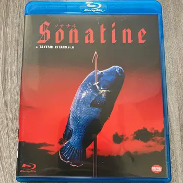 소나티네 ('93 반다이 비주얼/쇼치쿠 제1흥행)