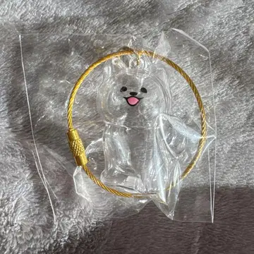 강아지의 타임캡슐 [ 라떼 ]