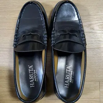 HARUTA 하루타 코인 로퍼