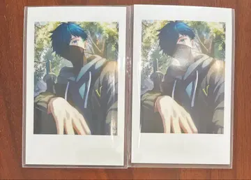 crazy raccoon CR VanilLa 셀피 카드