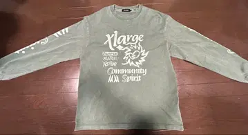 XLARGE COMMUNITY SPRIT L/S TEE GREEN