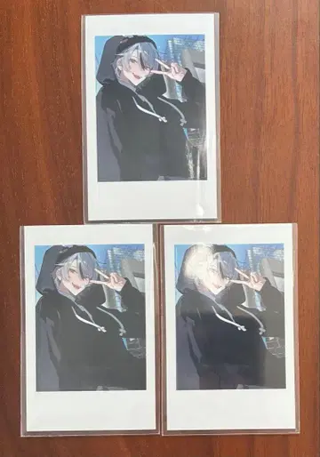 crazy raccoon CR 토토믹스 셀피 카드